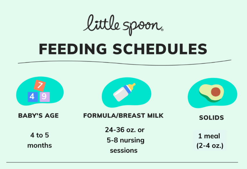 6-Month-Old Baby's Feeding Schedule - Richmond Mom