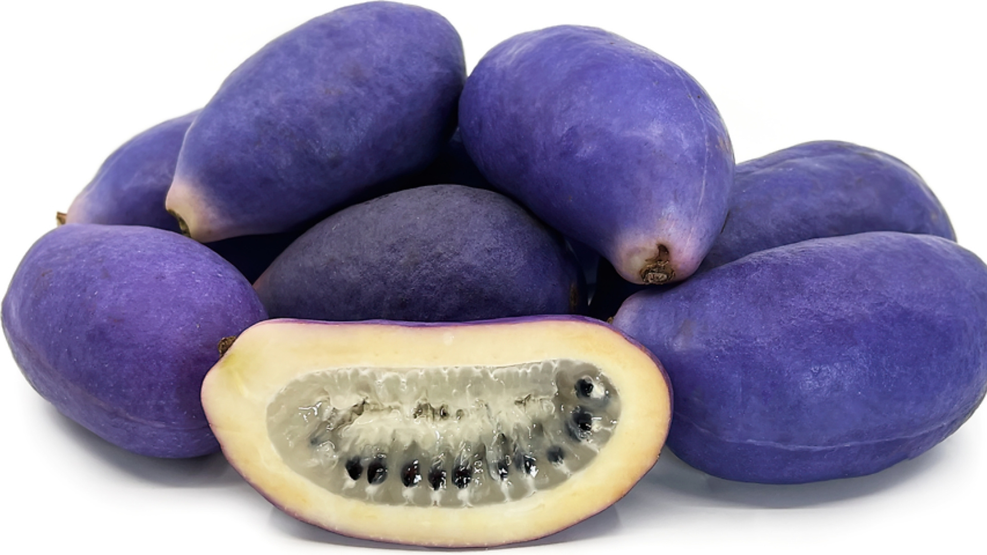 Akebia Quinata