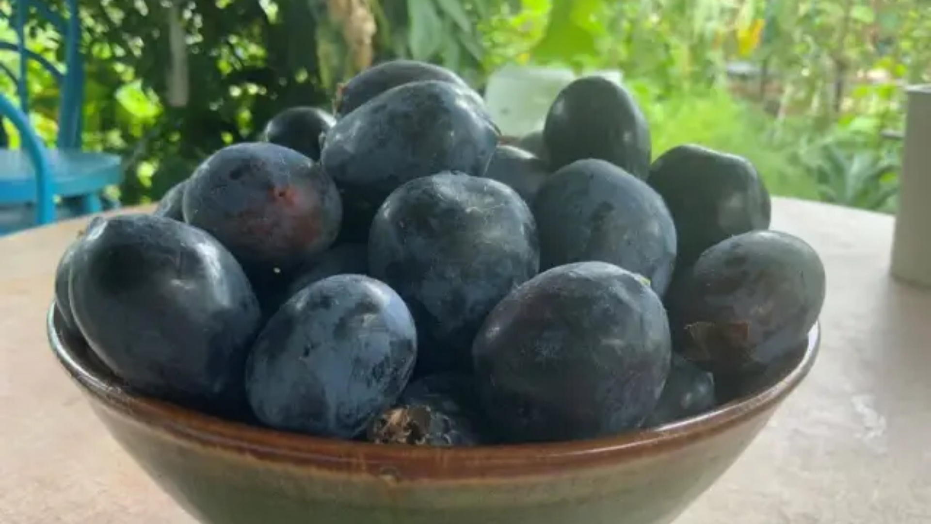 Davidson's Plum