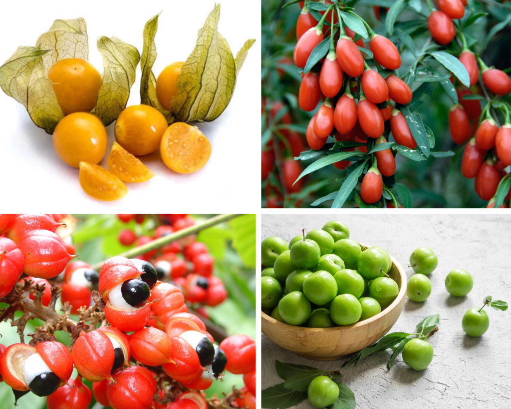 Fruits that Start with G