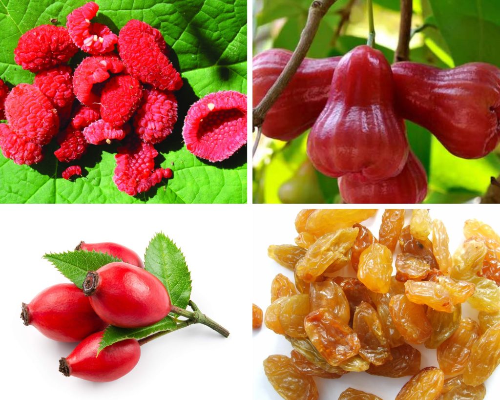 Fruits that Start with R