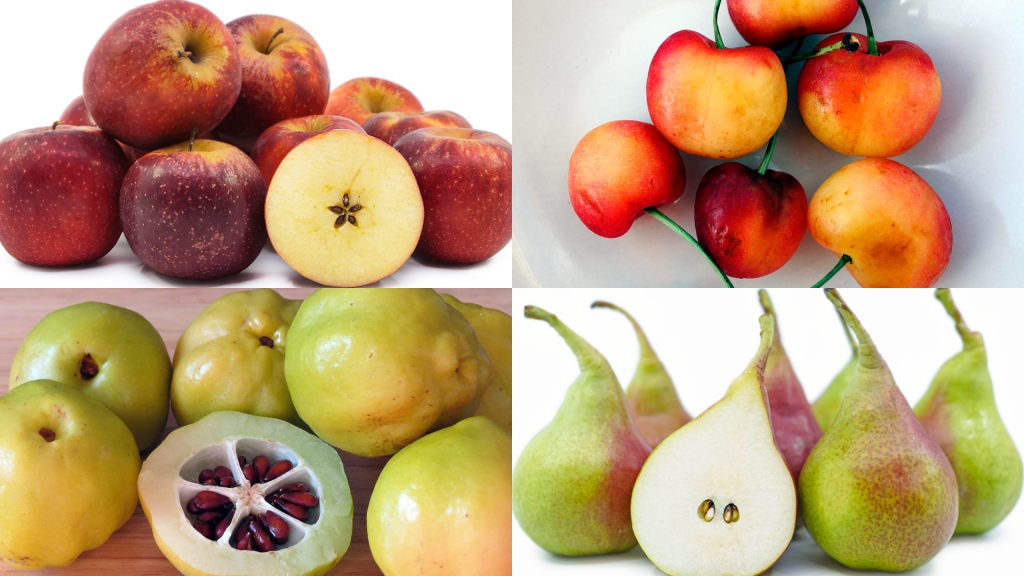 Fruits that Start with Q