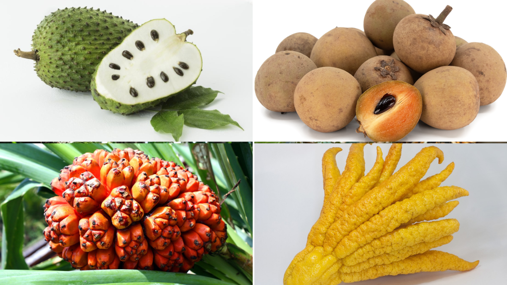 List of Exotic Fruits