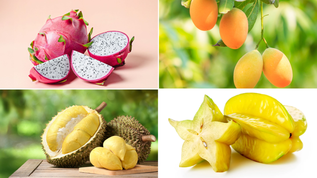 List of Tropical Fruits