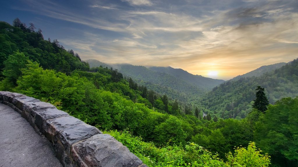Exploring Nature with Your Family in the Smoky Mountains