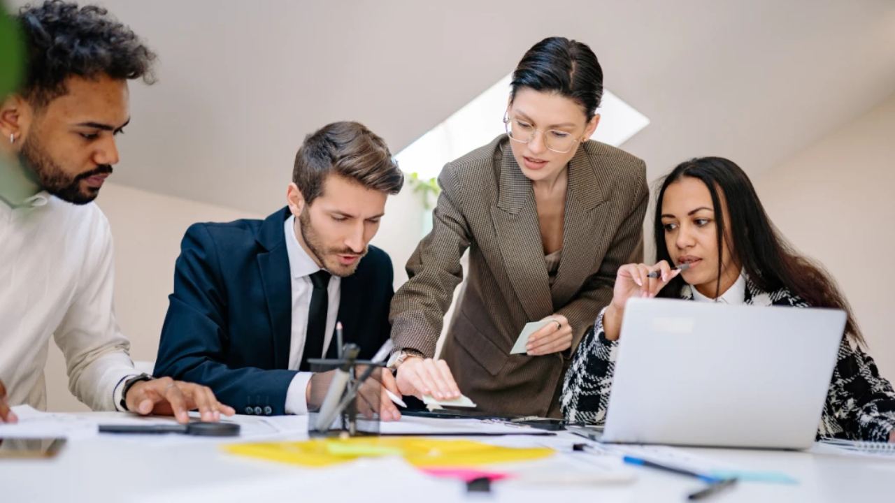 Mentorship Programs