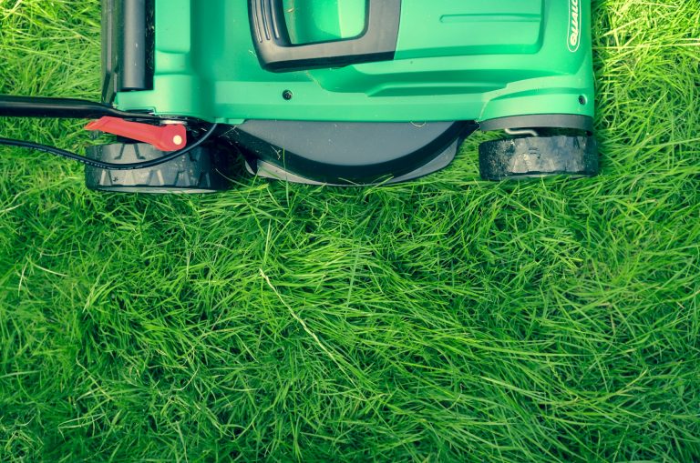 How Robotic Lawn Mowers Save You Time on Yard Work
