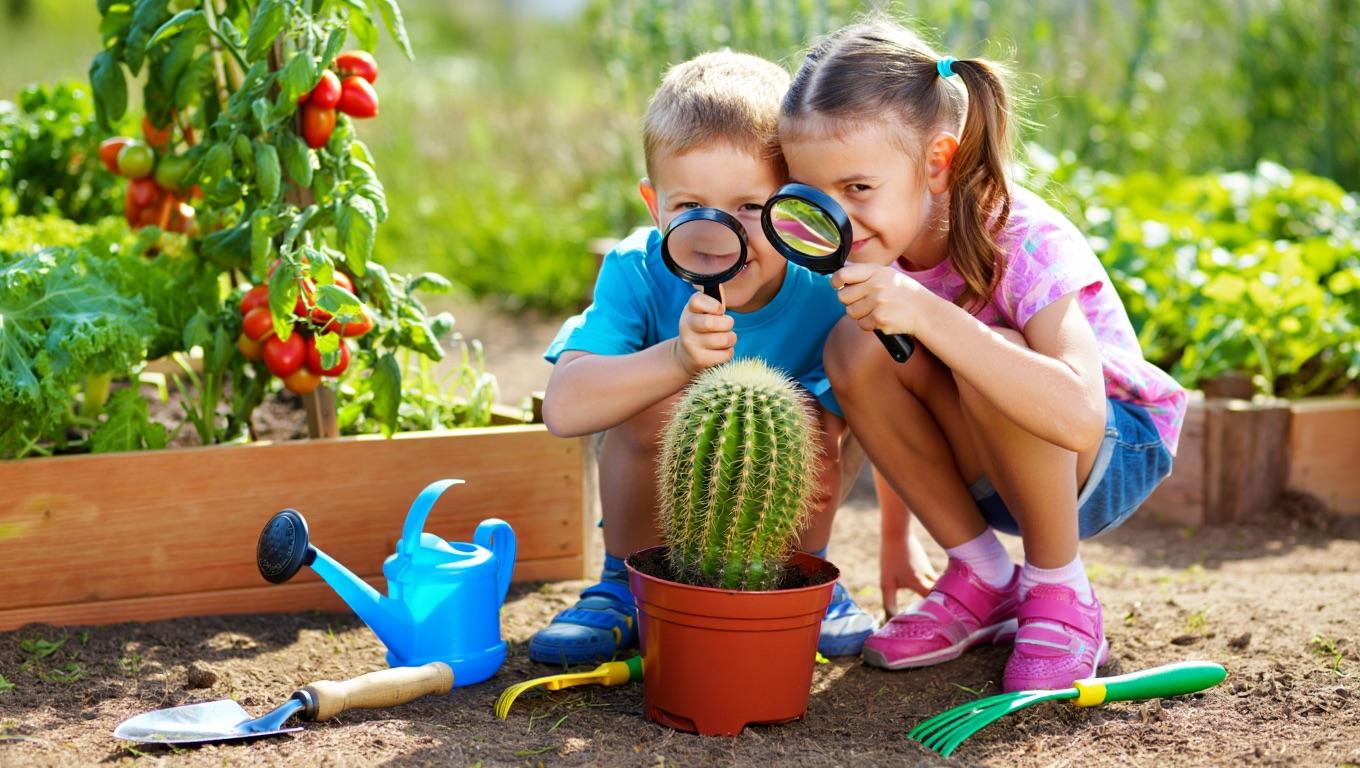 Cactus, Veggies & Wild Botanical Humor
