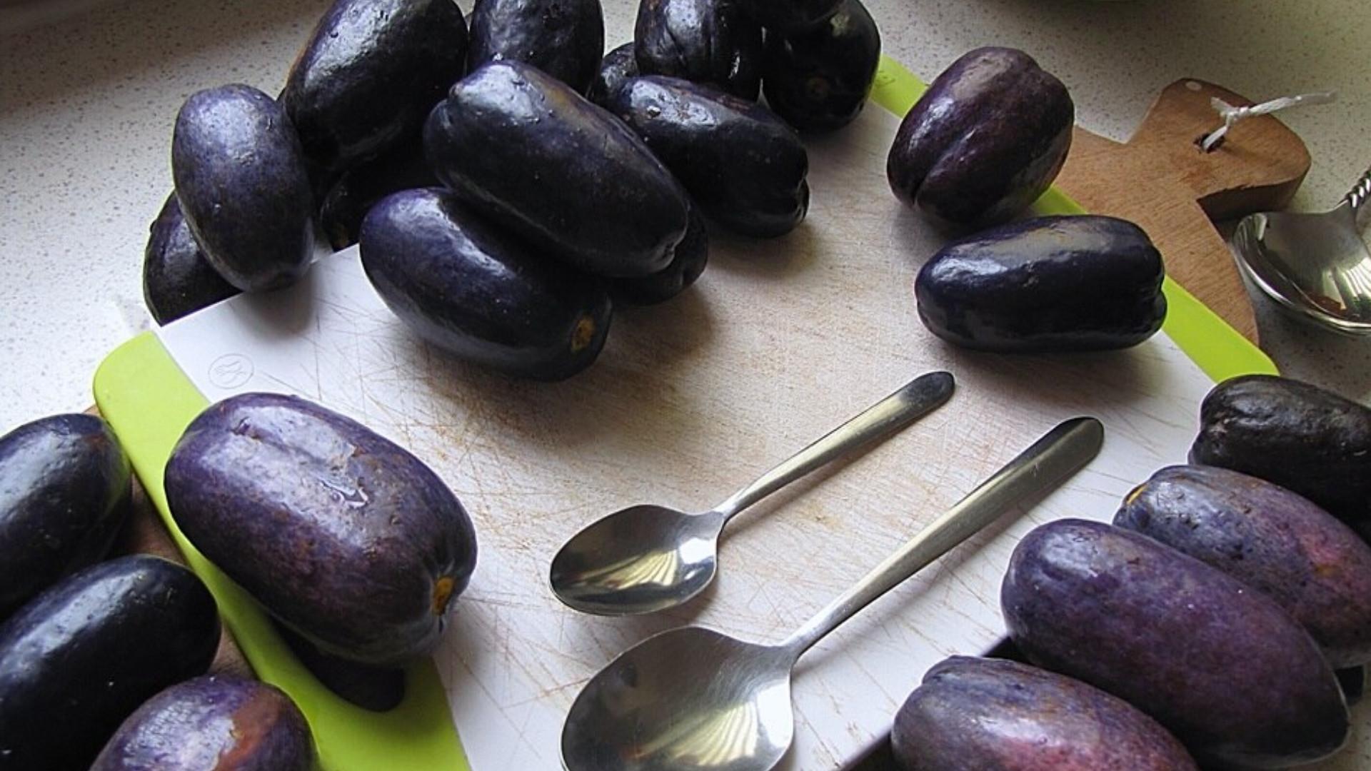 Dacryodes Fruit
