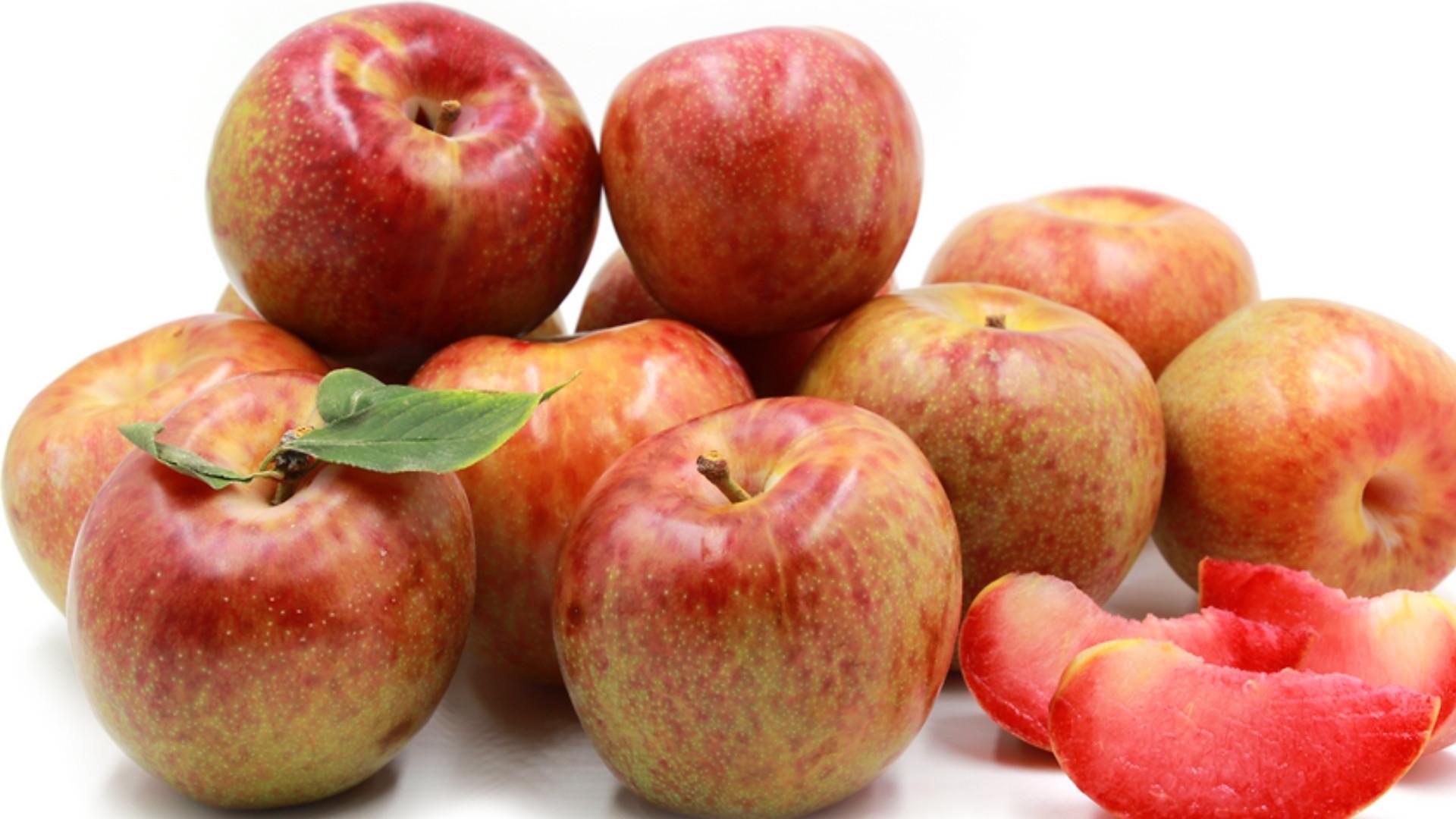 Dapple Dandy Plumcot
