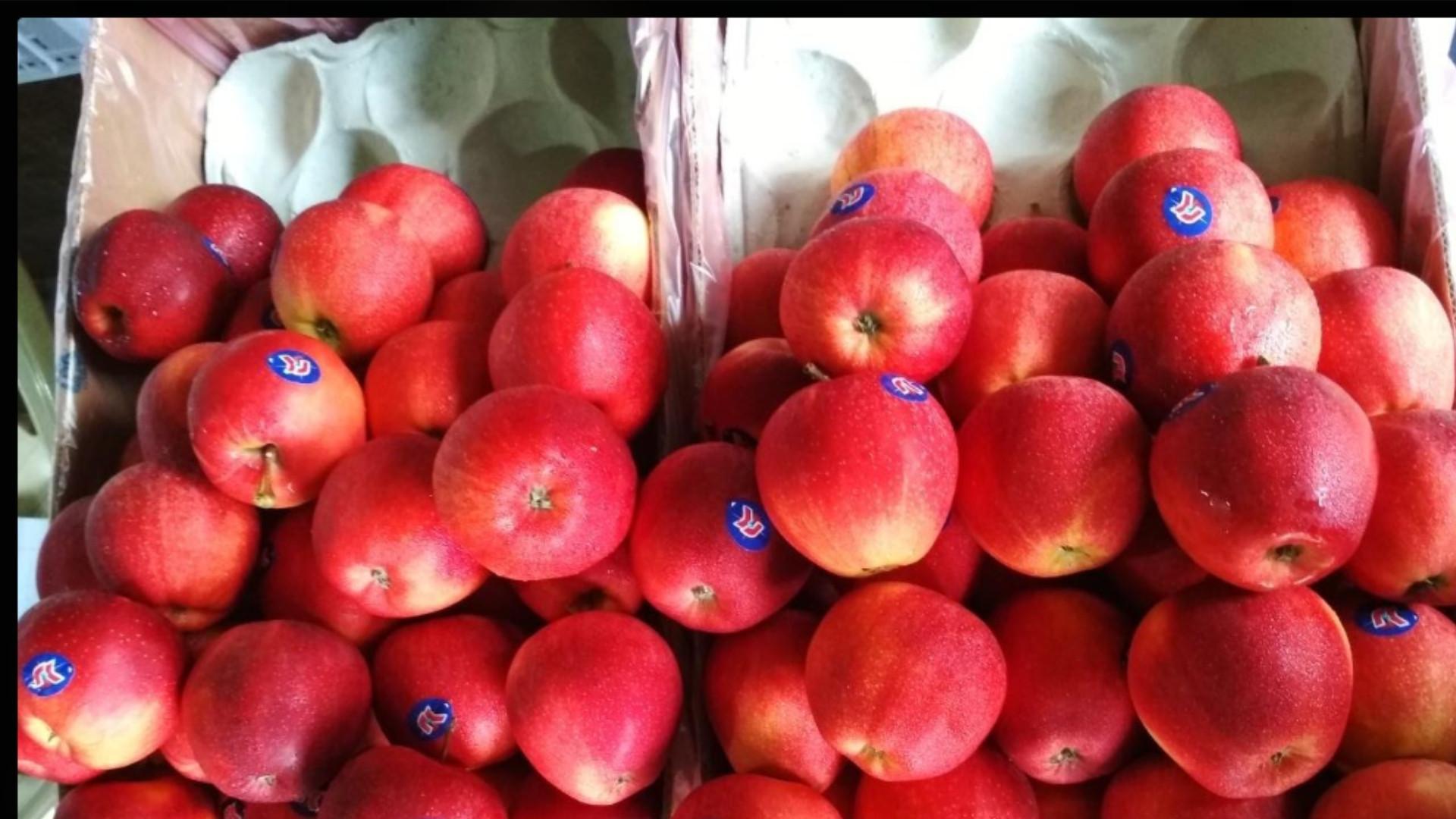 Delizia Apple