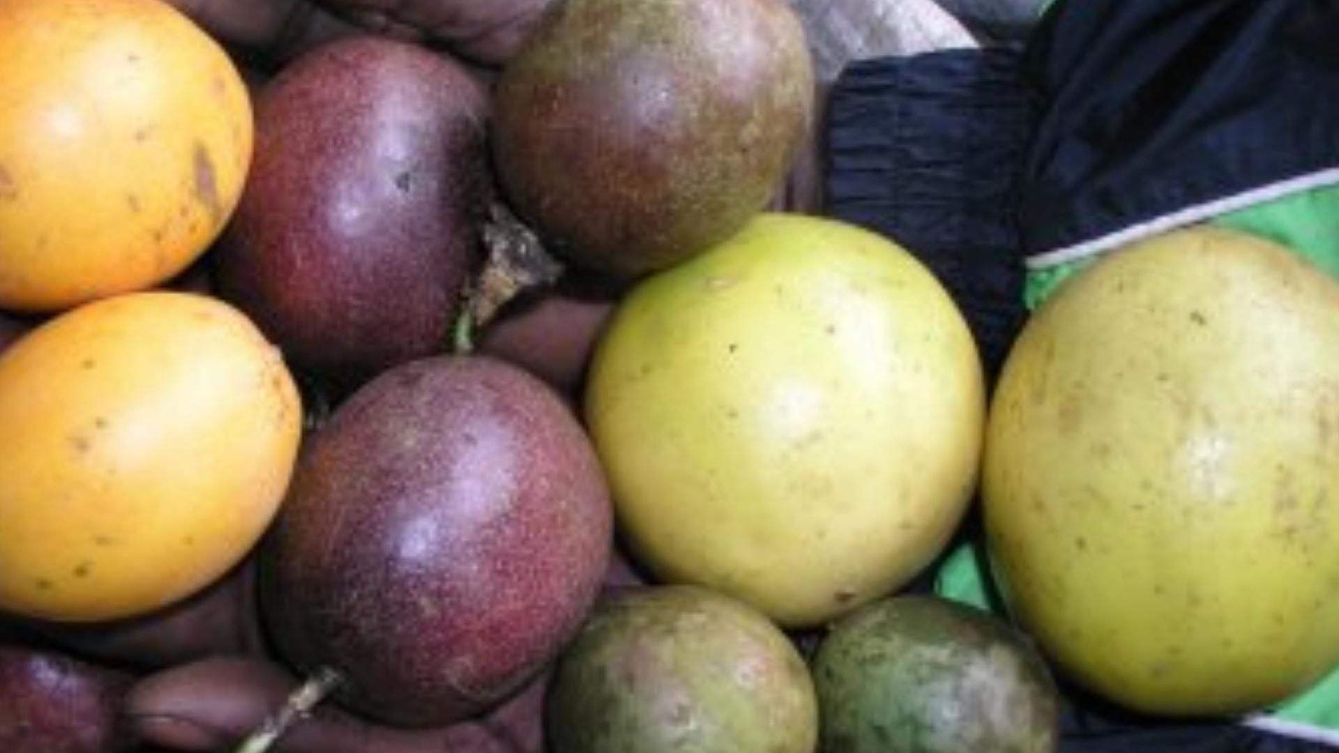 Ivorian Passion Fruit

