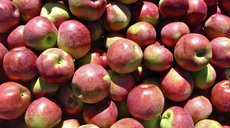 Macoun Apple