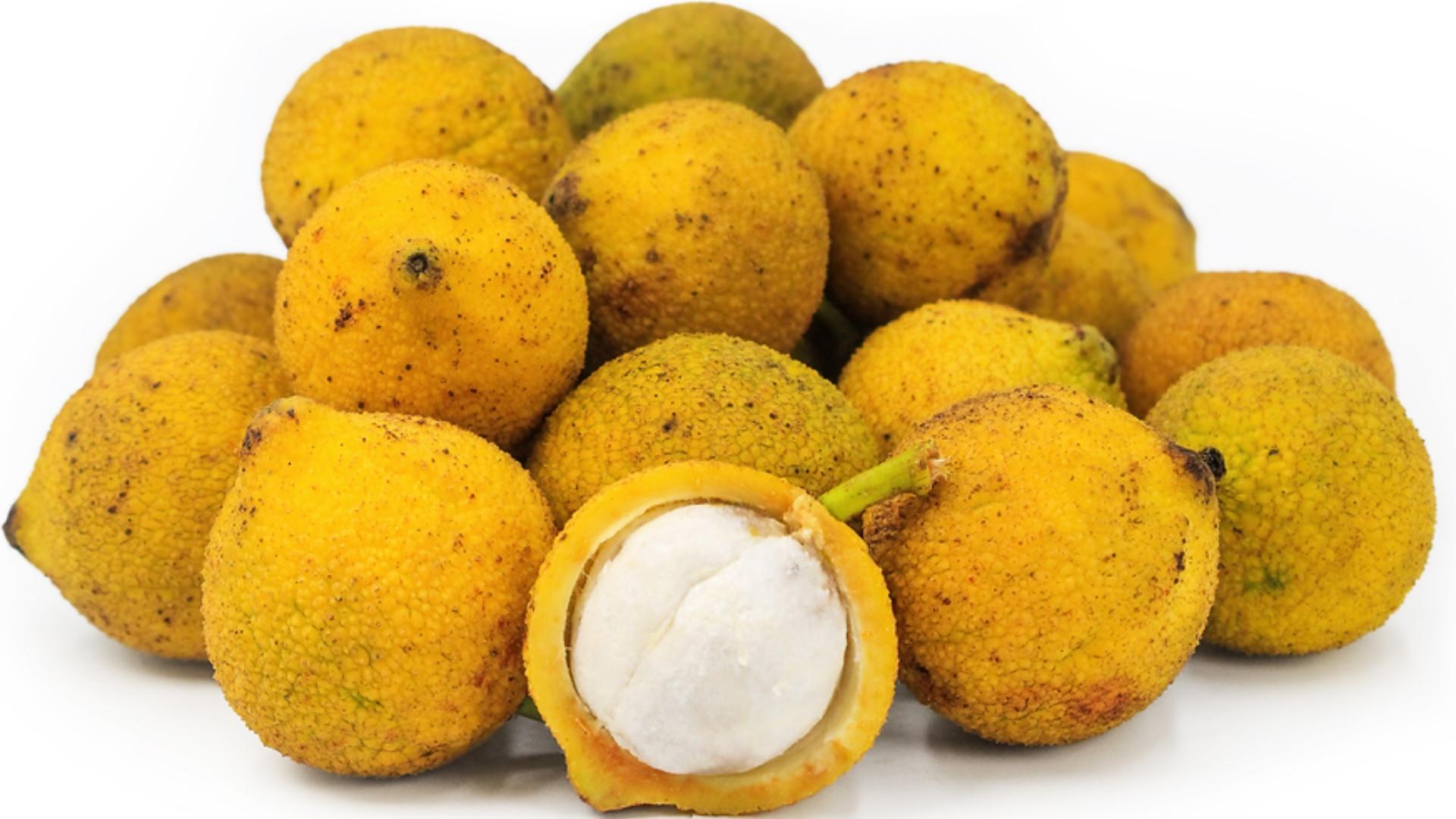 Madrono