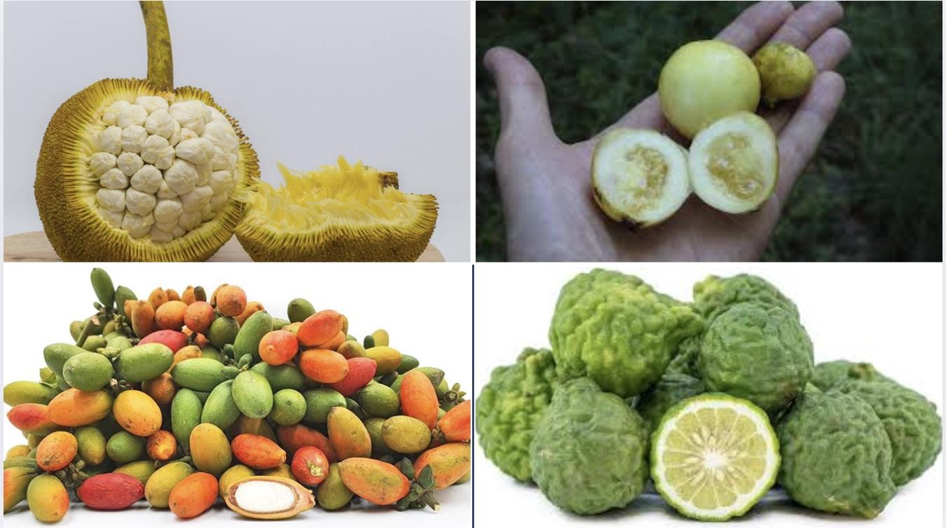 More Fruits That Begin With The Letter M
