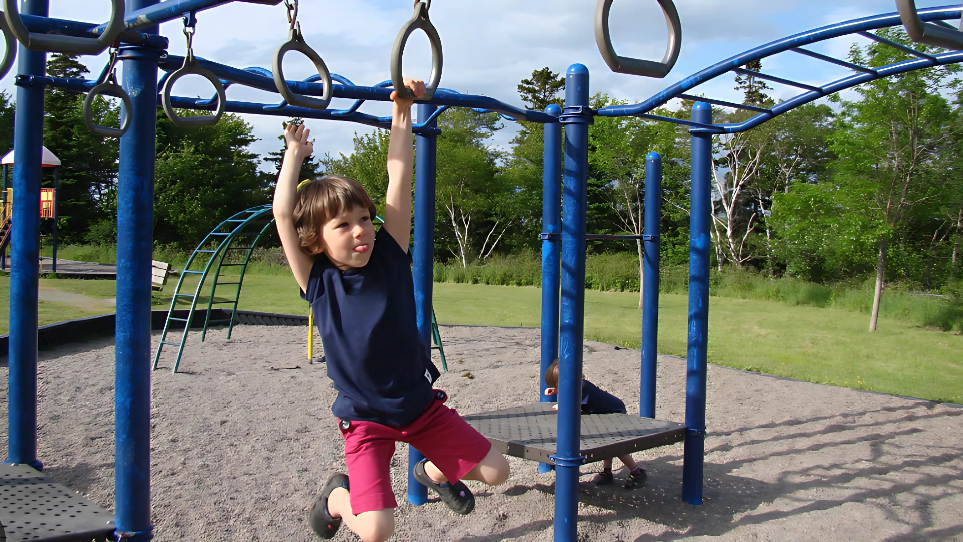 jungle-gym