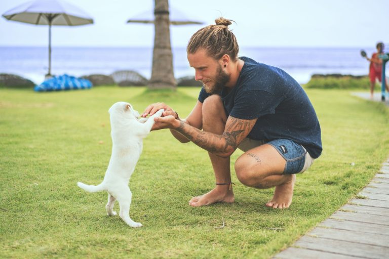 Top 4 Dog Trainers in Huntsville