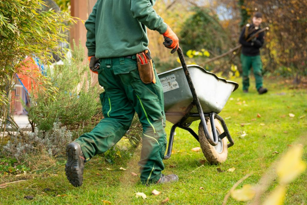 How HOA Landscaping Standards Improve Outdoor Spaces for Families