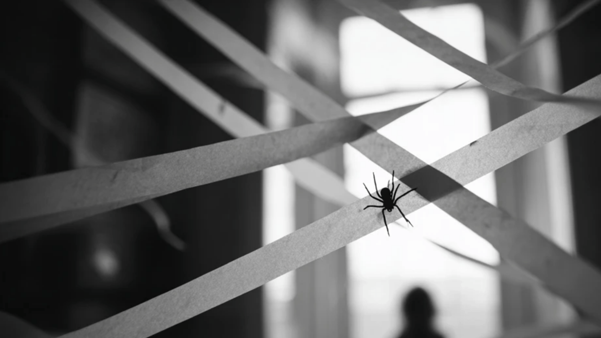 Spider-Web Challenge