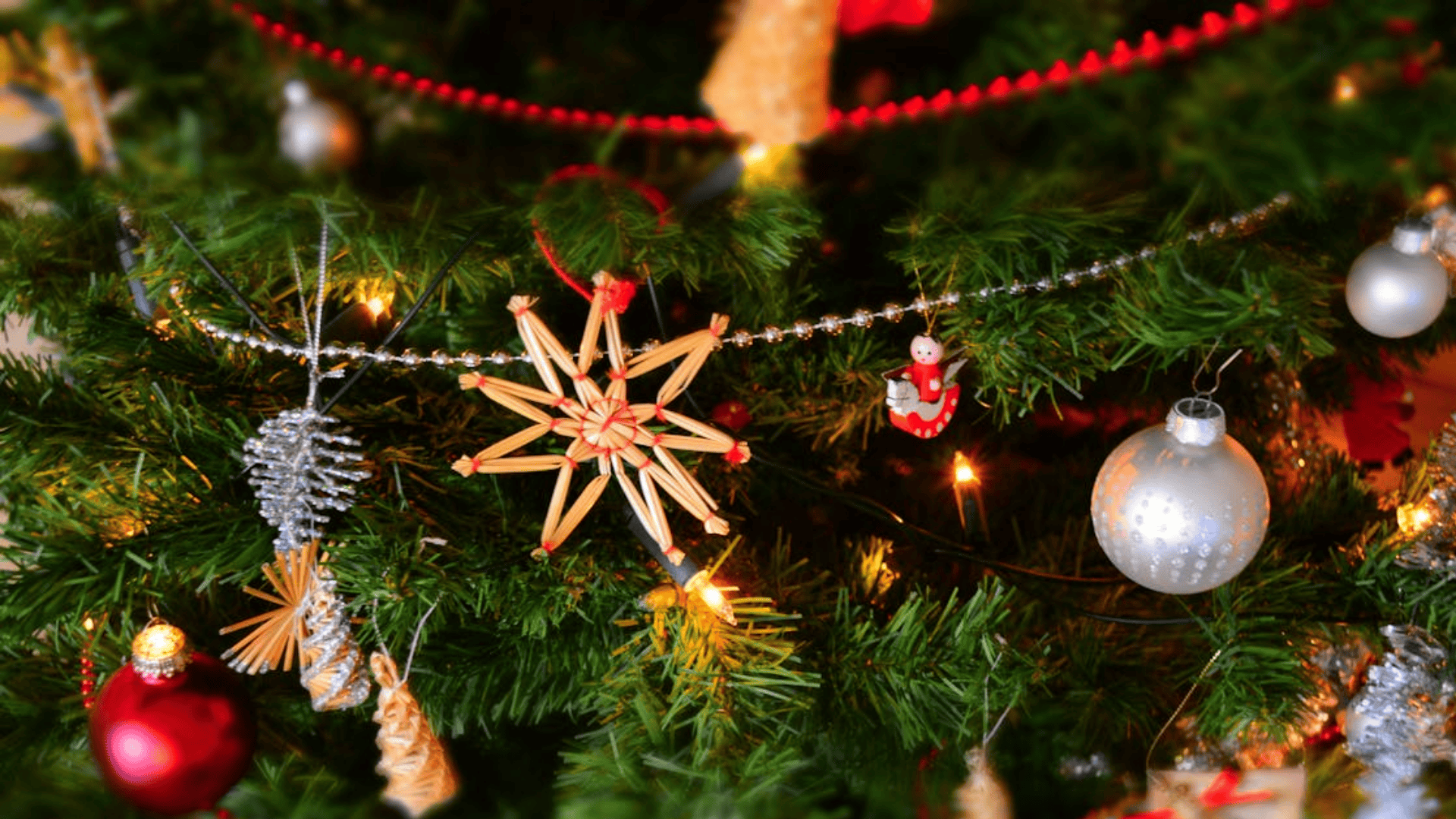 Family Traditions, Change, and Connection