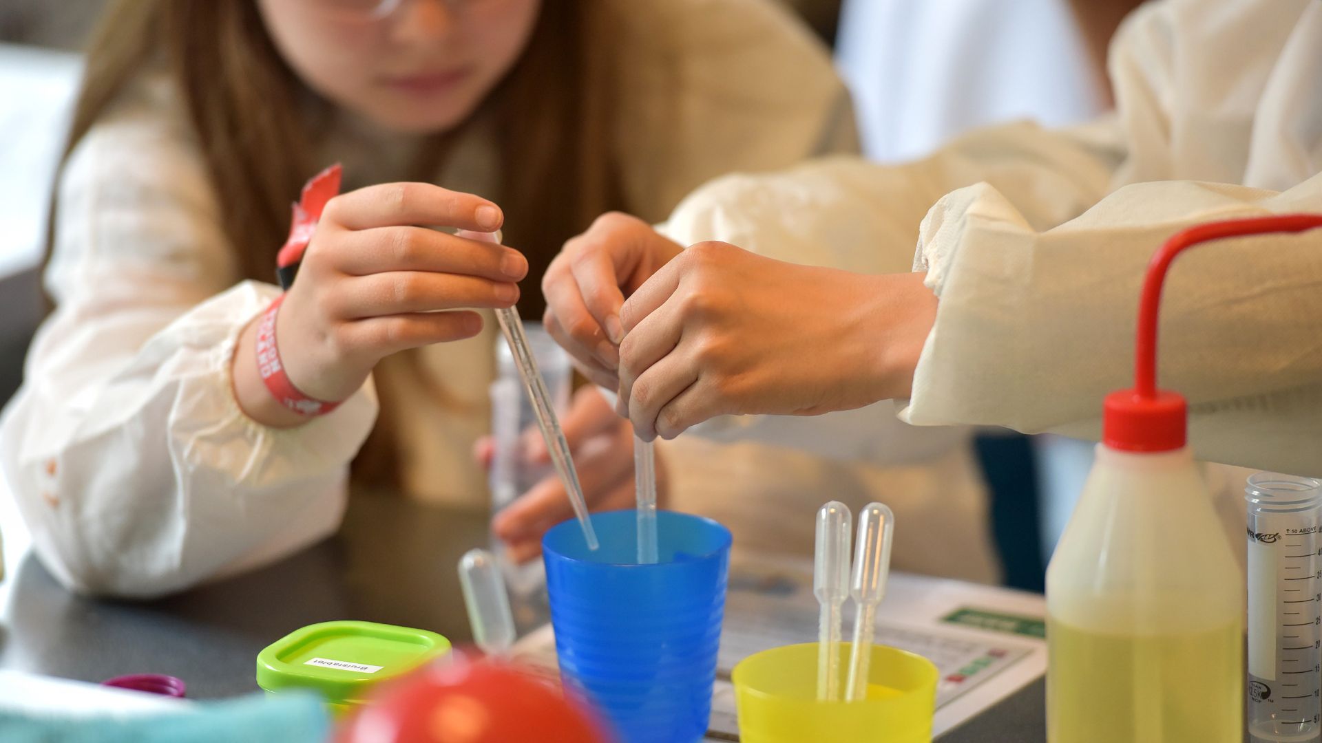 Mind Building Activities