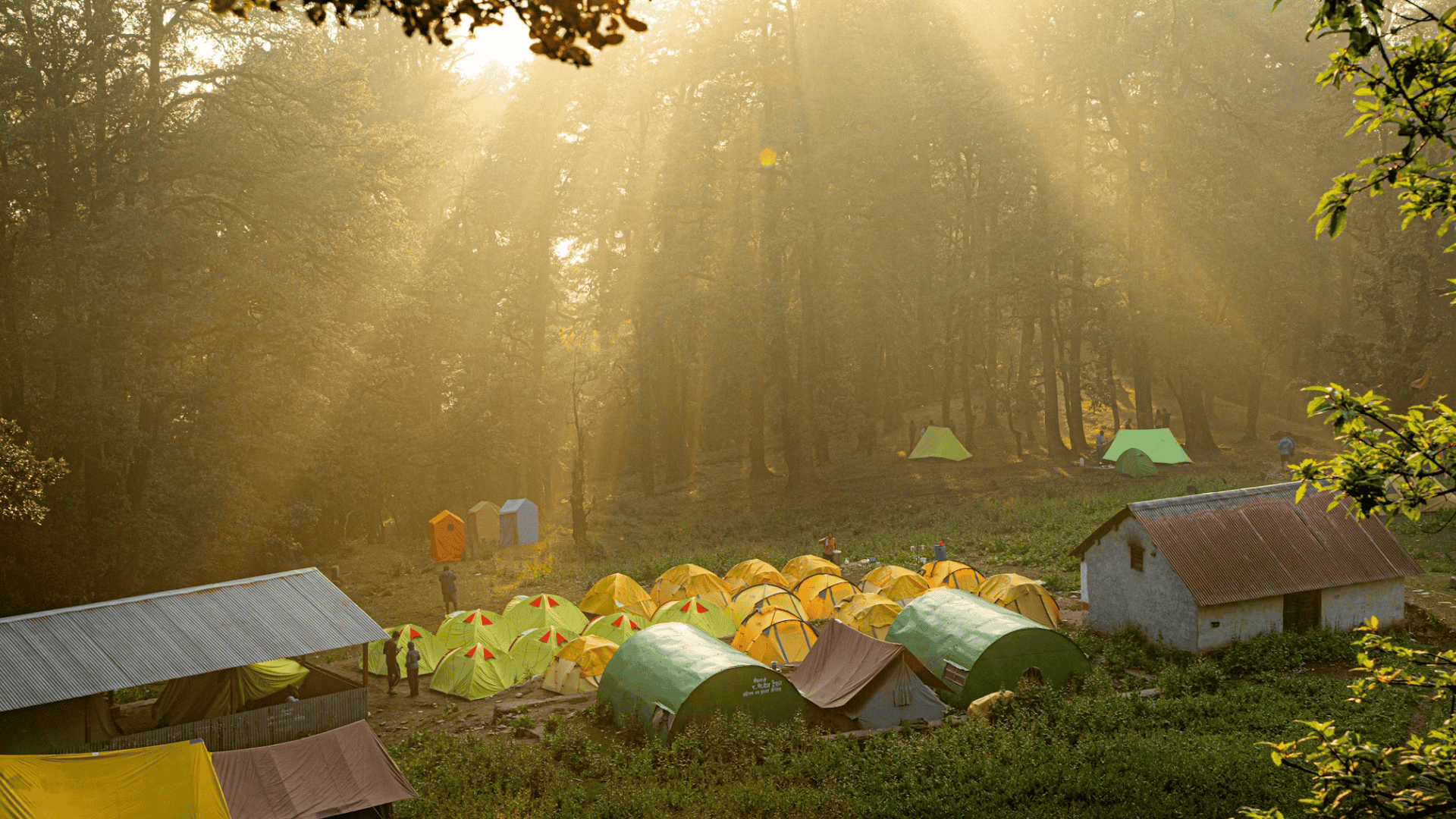 Learning Happens Best When It Doesn’t Feel Like a Lesson