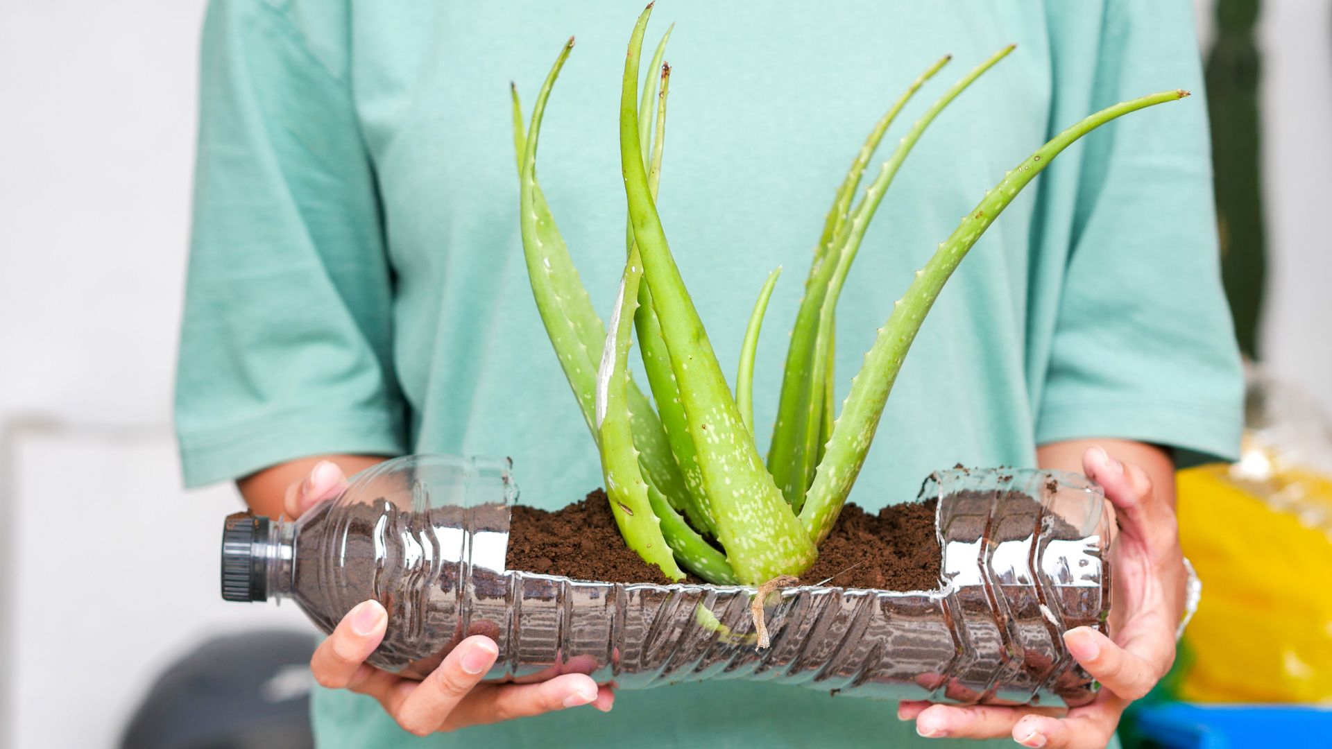plastic bottle planter